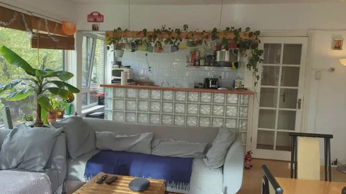 Private room at Schieweg, image 1 of 5