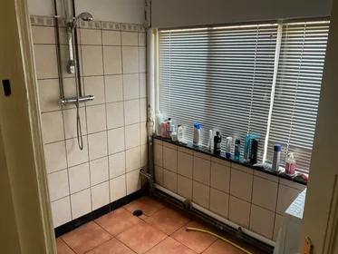 Private room at Otto Eerelmanstraat, image 8 of 9
