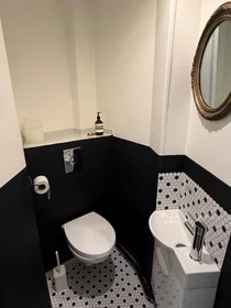 Privatzimmer in der Boulevard Jean Jaurès, bild 11 von 13