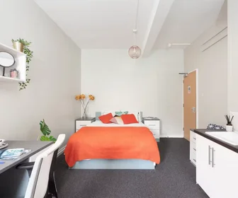 Prywatny pokój 33 Medway St, London SW1P 2BE, obraz 8 38