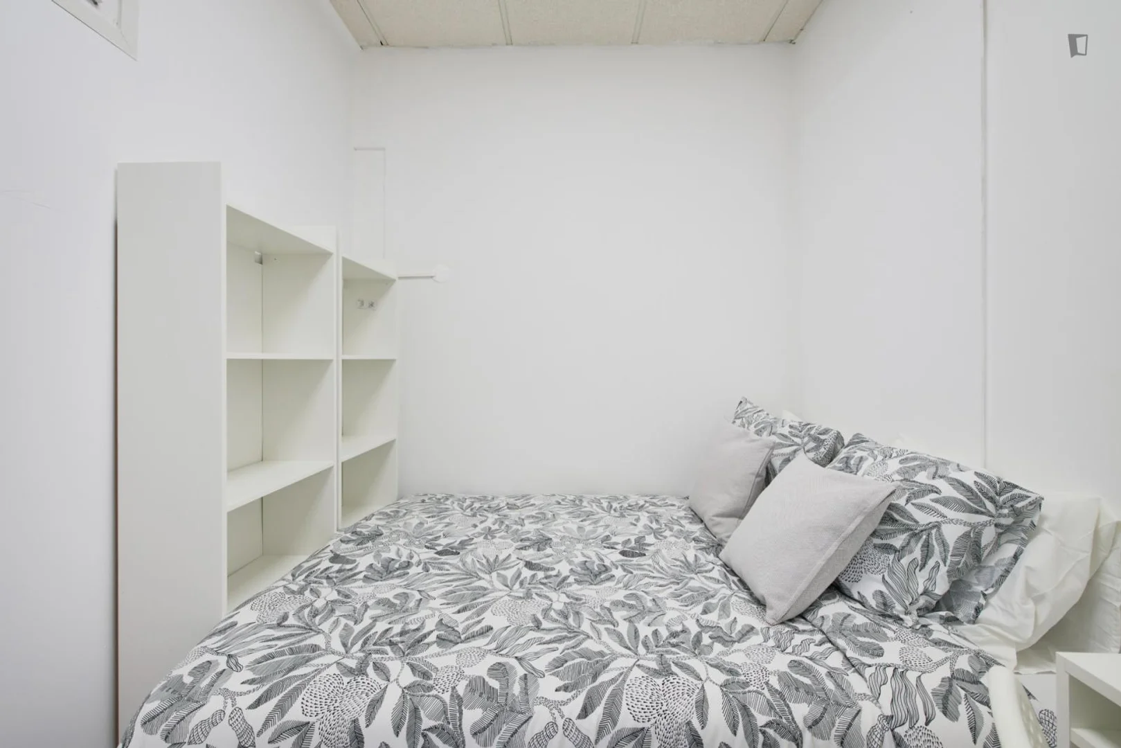 Bezahlbares Zimmer für Studenten mit ausreichender Beleuchtung in 