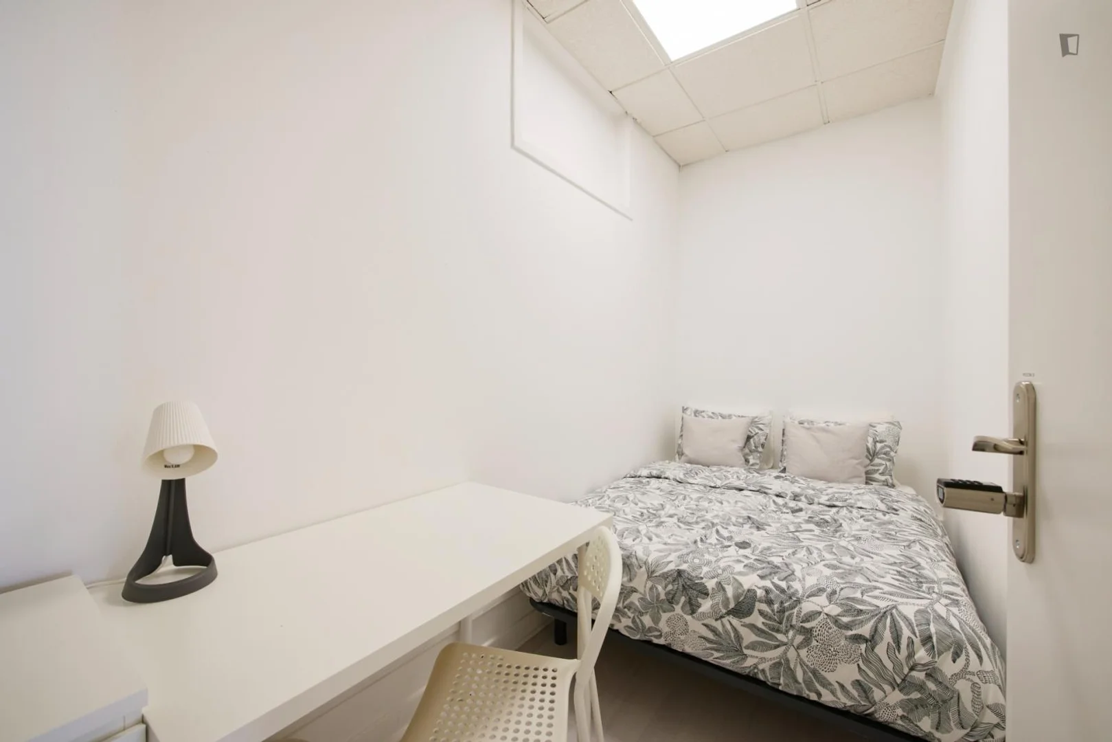Chambre abordable pour les étudiants avec un bon éclairage dans