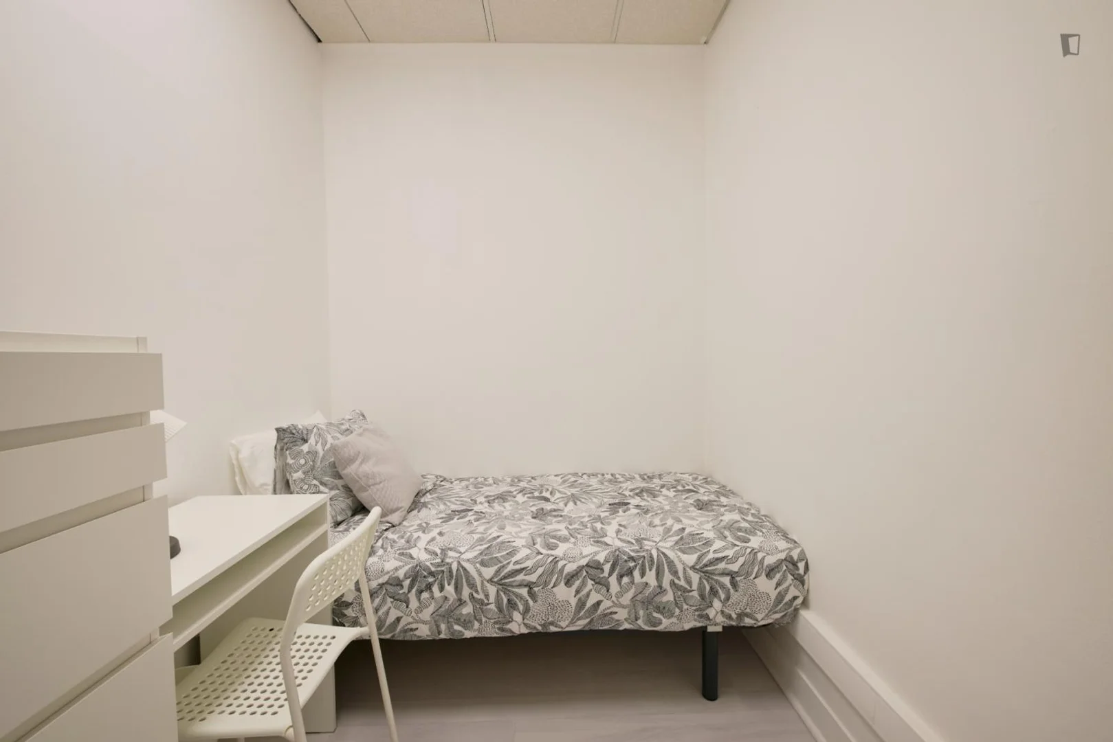 Chambre abordable pour les étudiants avec un bon éclairage dans 