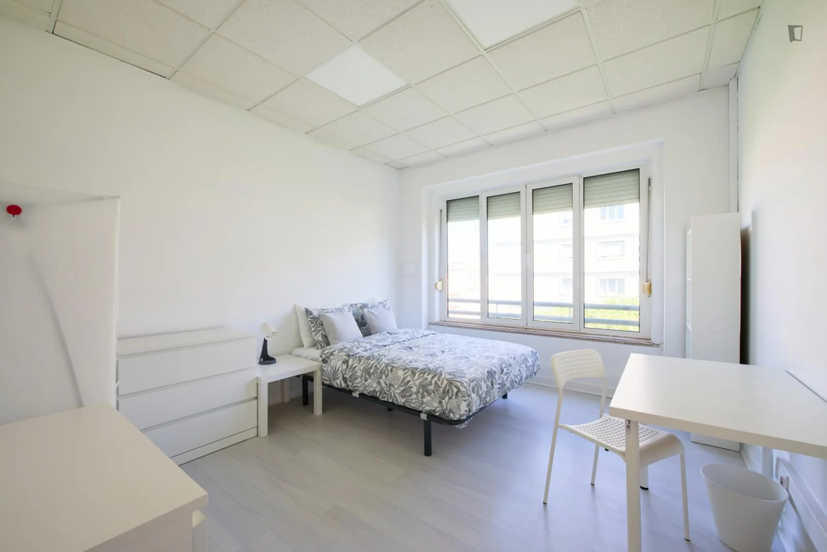 Chambre d'étudiant bon marché à proximité du campus dans 