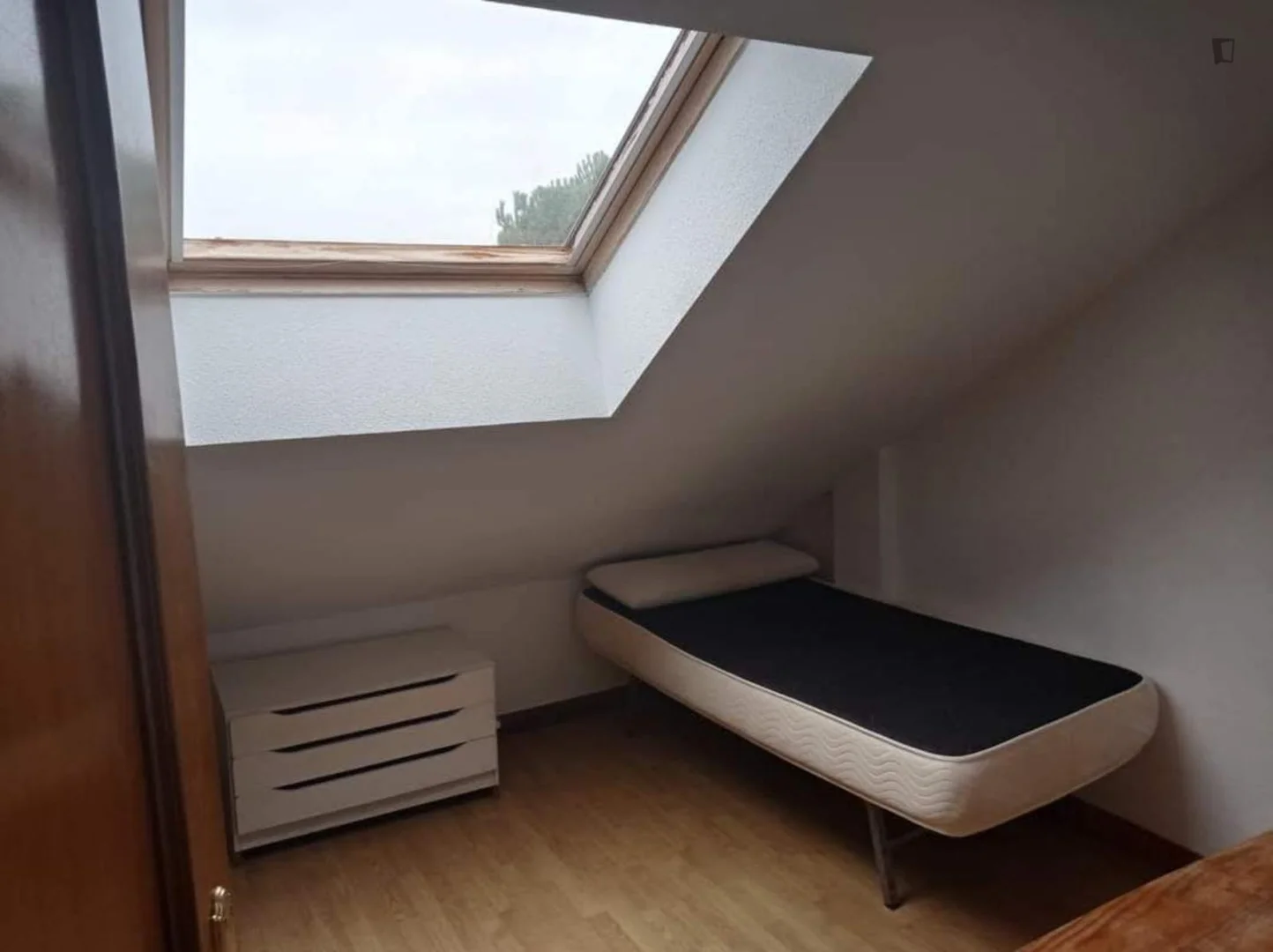 Budget-friendly student room close to campus in 