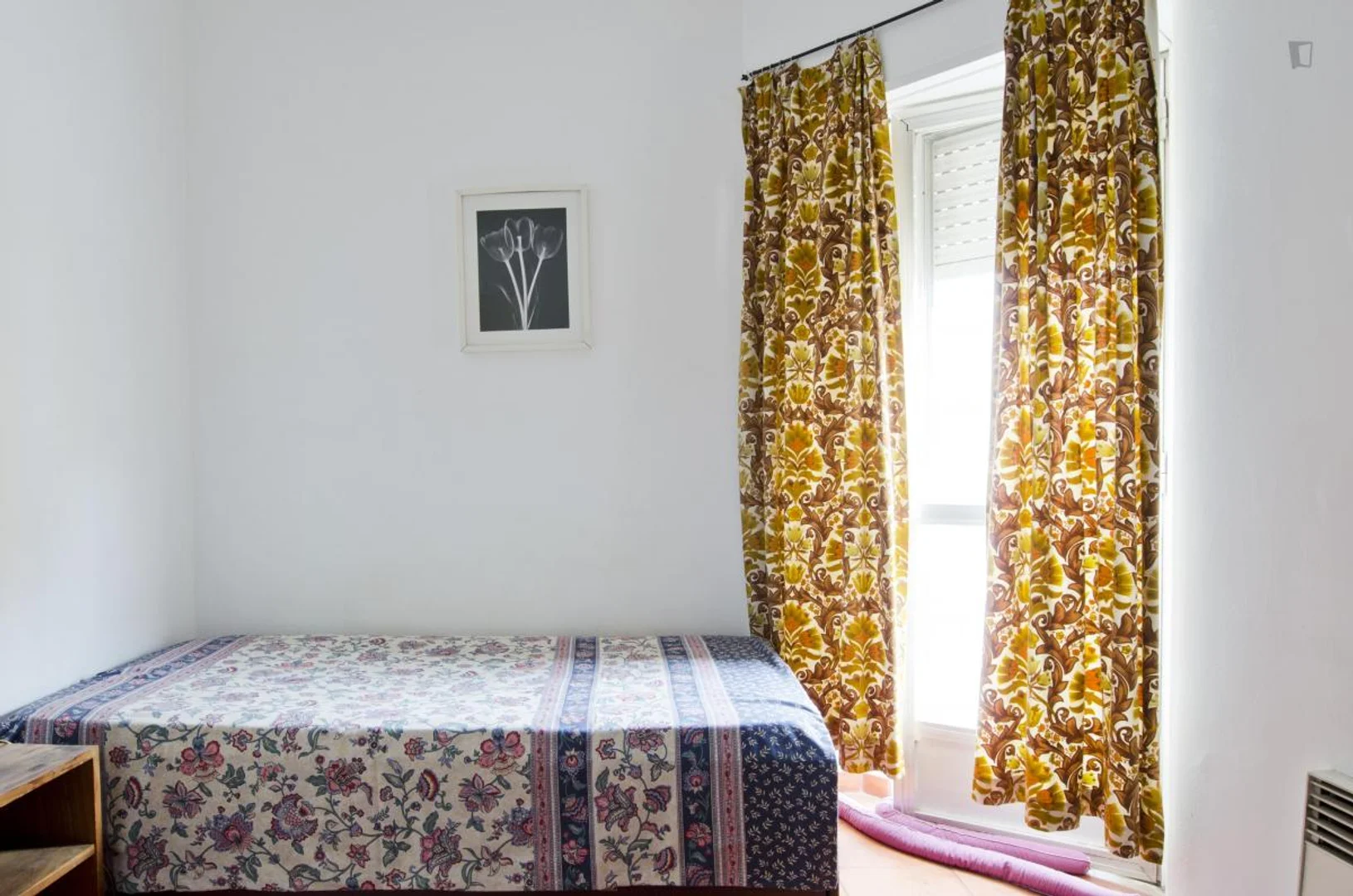 Chambre abordable pour les étudiants avec un bon éclairage dans 