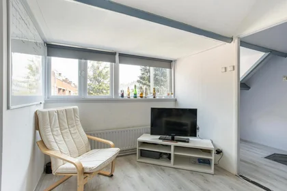 Studio at Bevelandsestraat, image 8 of 9