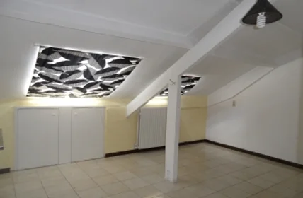 Stanza privata in Tongerseweg, immagine 1 di 10