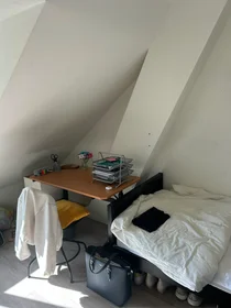 Habitación privada en Wassenaarseweg, imagen 5 de 9