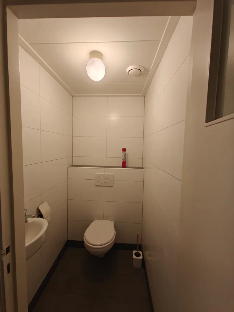 Affordable room for students with ample lighting in 