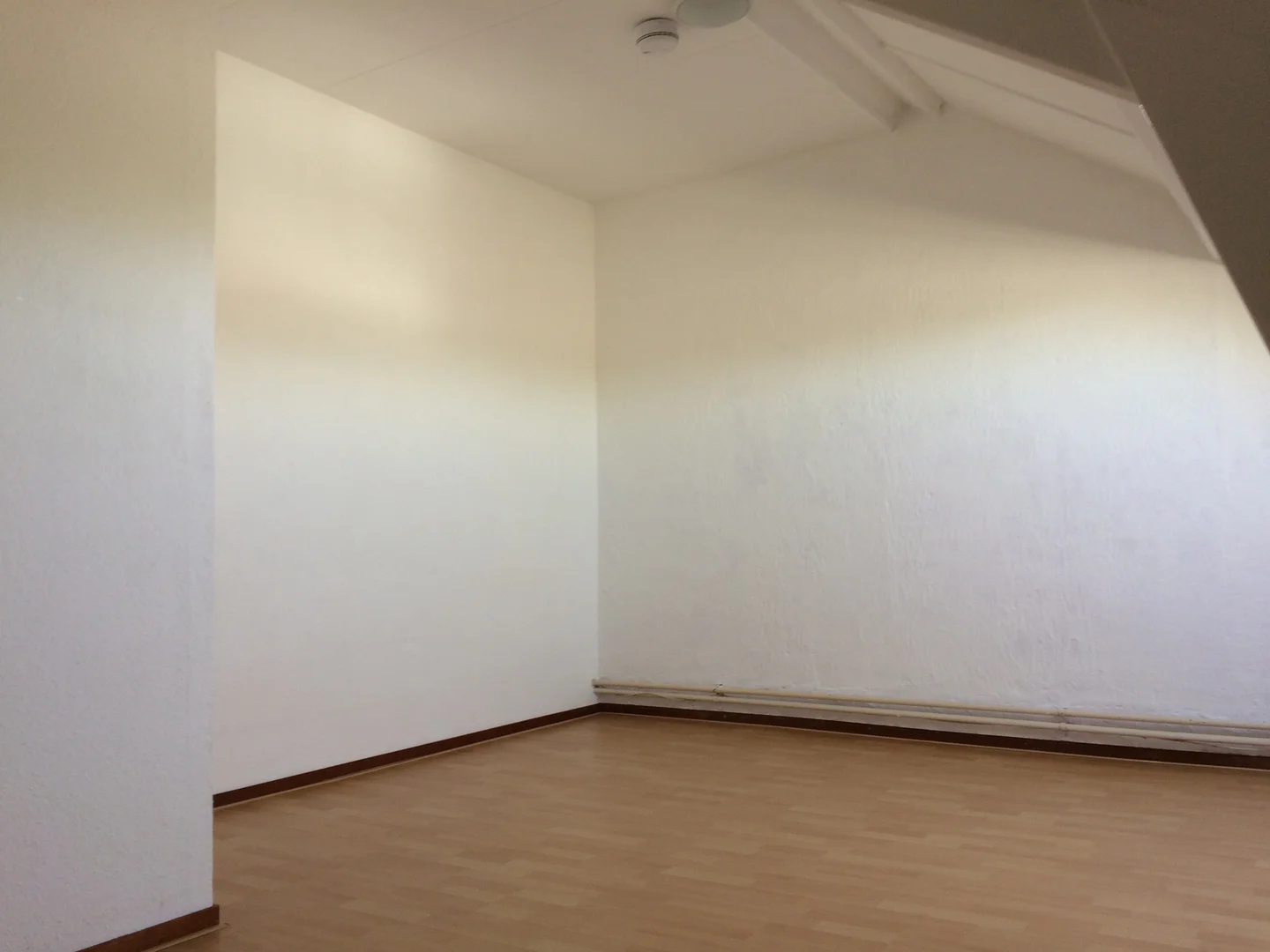 Confortevole e spaziosa stanza per studenti in 
