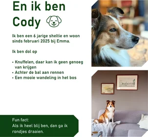 Gesamte Unterkunft in der Geulstraat, bild 5 von 8