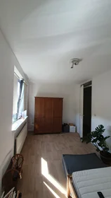 Gesamte Unterkunft in der Geulstraat, bild 6 von 8
