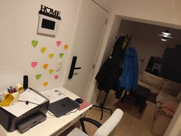 Alojamiento entero en Kwekerijstraat, Borgerhout, imagen 7 de 10
