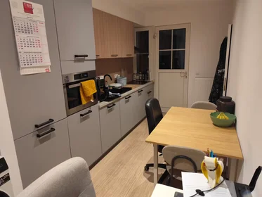 Alojamiento entero en Kwekerijstraat, Borgerhout, imagen 9 de 10