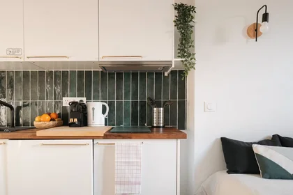 Entire apartment at Avenue Anatole France, , image 7 of 10