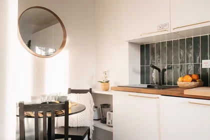Entire apartment at Avenue Anatole France, , image 9 of 10
