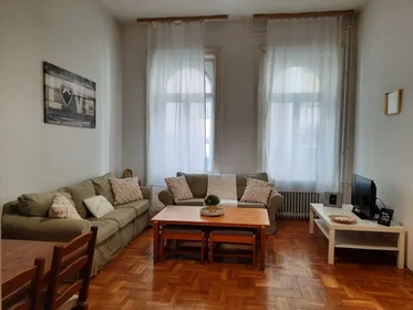 Chambre privée à Nagy Diófa utca, VII. kerület, image 2 de 10