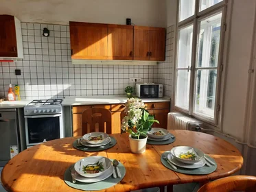 Chambre privée à Nagy Diófa utca, VII. kerület, image 8 de 10