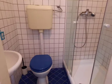 Chambre privée à Nagy Diófa utca, VII. kerület, image 10 de 10