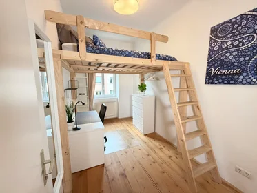 Chambre privée à Albertgasse, Josefstadt, image 1 de 10