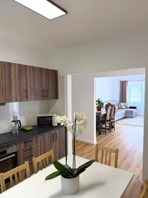 Apartamento inteiro em Estrada Engenheiro Abel Vieira, Barreiros, imagem 1 de 10