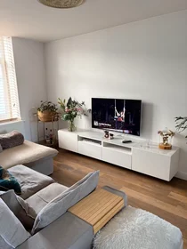 Alojamiento entero en Kroonstraat, Borgerhout, imagen 3 de 10