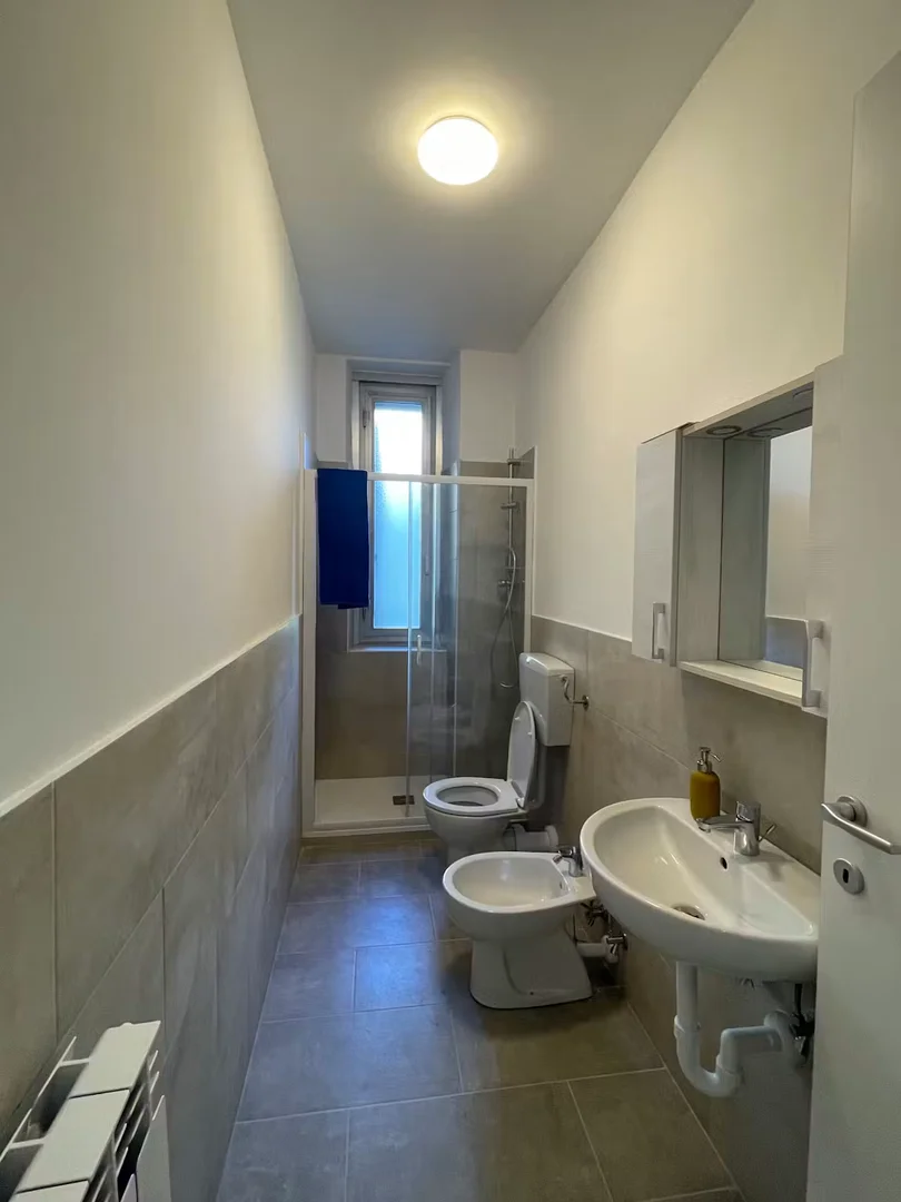 Room for rent in student apartment in , fully furnished
