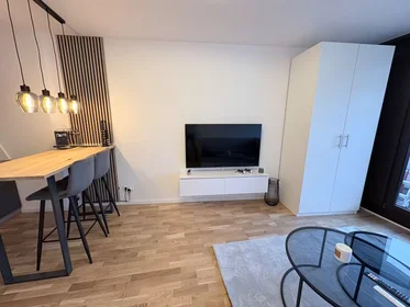 Apartamento inteiro em Genter Straße, Innenstadt, imagem 7 de 10