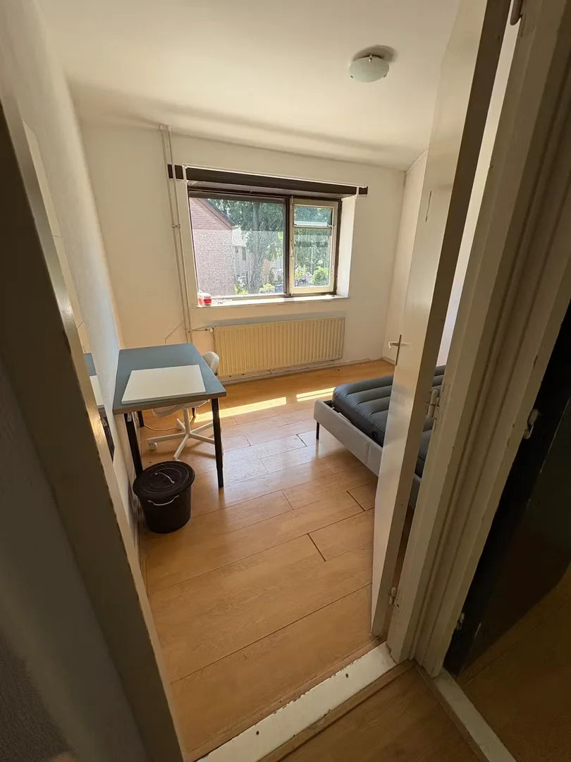 'da öğrenciler için yeterli aydınlatmaya sahip uygun fiyatlı oda