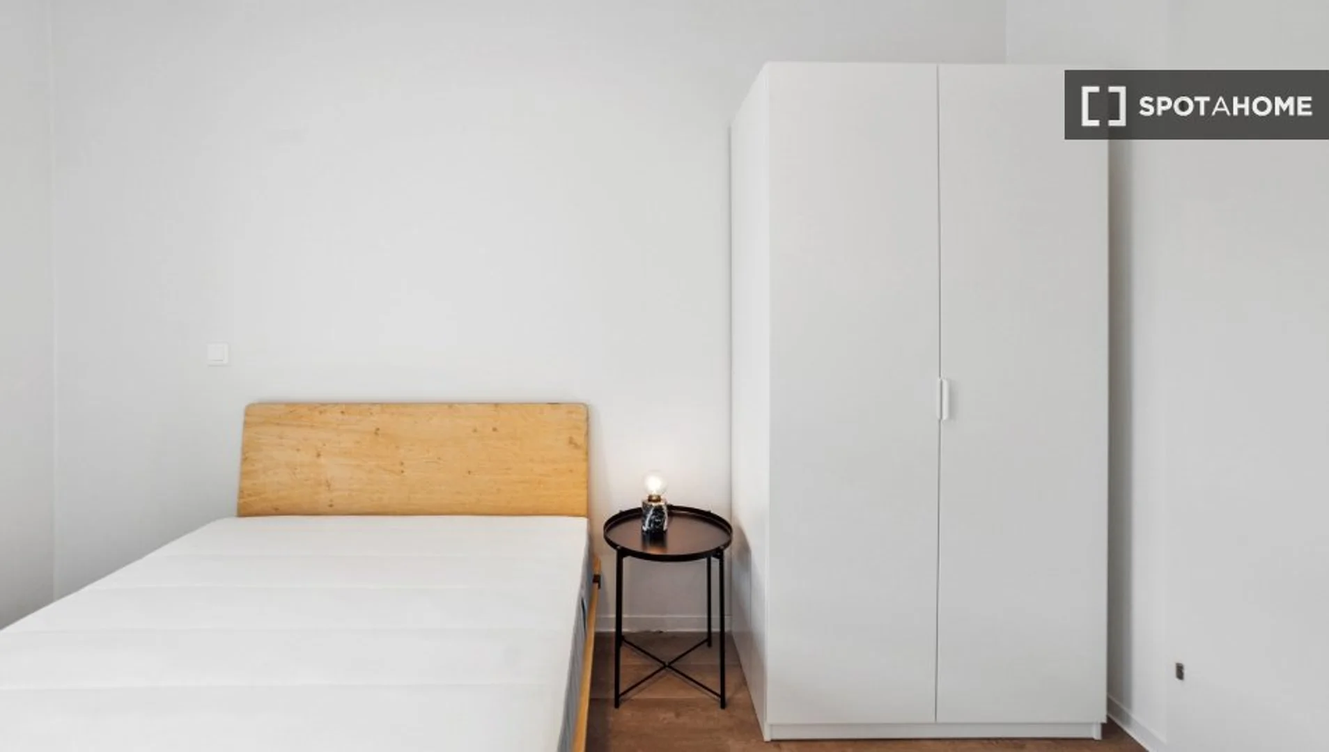 Affordable room for students with ample lighting in 