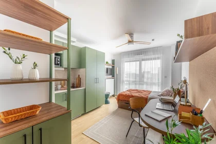 Monolocale in Cours du Raccordement, immagine 11 di 20