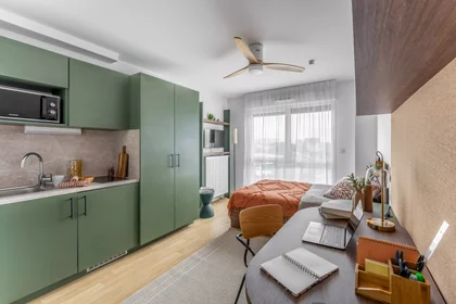 Monolocale in Cours du Raccordement, immagine 9 di 20