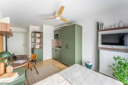 Monolocale in Cours du Raccordement, immagine 4 di 18