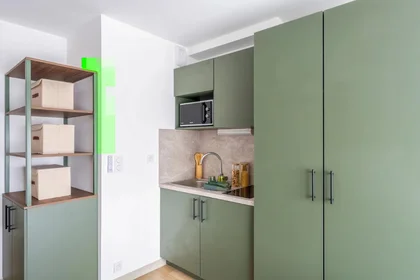 Monolocale in Cours du Raccordement, immagine 9 di 18