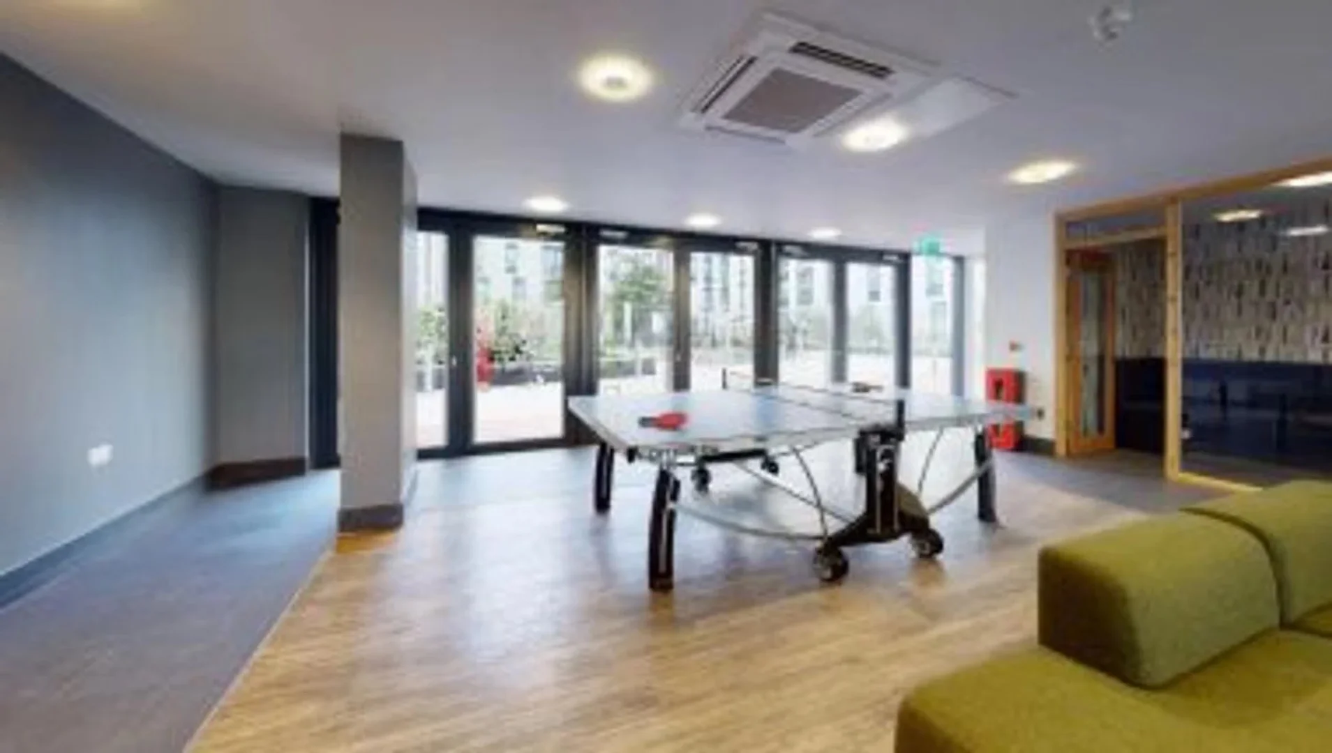 Affordable room for students with ample lighting in 