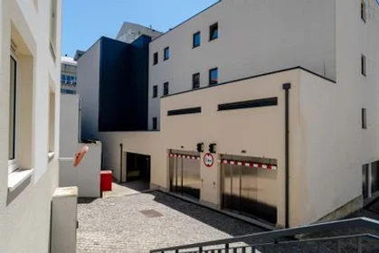 Alojamiento entero en Cedofeita - Rua de Aníbal Cunha, 2, imagen 19 de 30