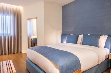 Apartamento moderno e brilhante em {area}