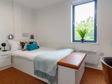 Privatzimmer im Wohnheim in der Clarence St, Shieldfield, Newcastle upon Tyne NE2 1YN, United Kingdom, bild 3 von 20