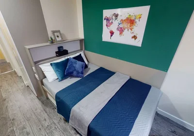 Stanza privata in 6-18 High St, Bangor LL57 1NP, United Kingdom, immagine 1 di 10