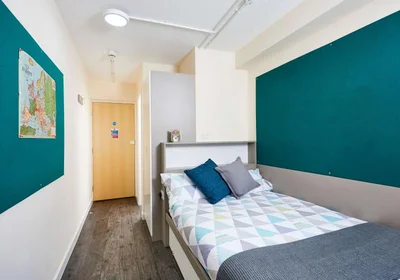 Stanza privata in residence in 6-18 High St, Bangor LL57 1NP, United Kingdom, immagine 16 di 21
