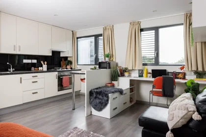 Privatzimmer im Wohnheim in der Greetham Street, Portsmouth PO5 4FB, United Kingdom, bild 14 von 22