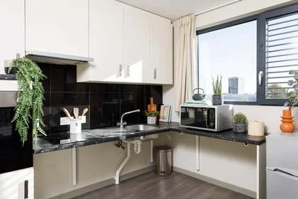 Privatzimmer im Wohnheim in der Greetham Street, Portsmouth PO5 4FB, United Kingdom, bild 19 von 22