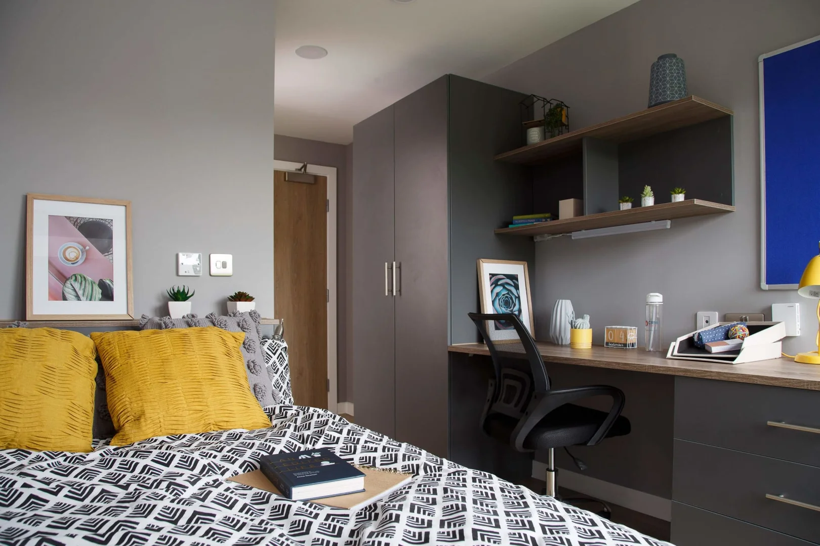 Affordable room for students with ample lighting in