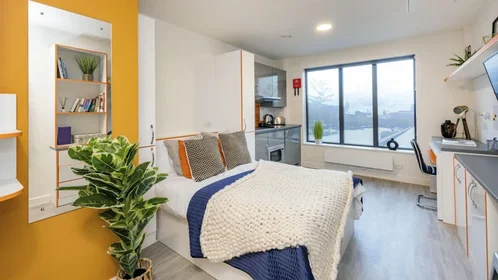 Estudio en residencia en Matilda St, Sheffield City Centre, Sheffield S1 4TP, United Kingdom       , imagen 1 de 27