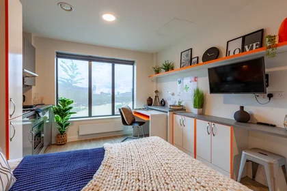 Estudio en residencia en Matilda St, Sheffield City Centre, Sheffield S1 4TP, United Kingdom       , imagen 19 de 27