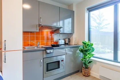 Estudio en residencia en Matilda St, Sheffield City Centre, Sheffield S1 4TP, United Kingdom       , imagen 20 de 27