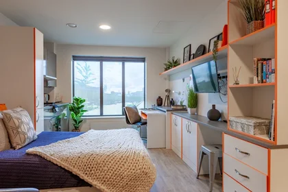 Estudio en residencia en Matilda St, Sheffield City Centre, Sheffield S1 4TP, United Kingdom       , imagen 9 de 27