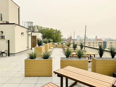 Apartamento inteiro em residência em 987 Willoughby Avenue,  1C, Bushwick, New York, NY, 11221, imagem 15 de 17