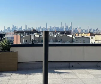 Apartamento inteiro em residência em 987 Willoughby Avenue,  1C, Bushwick, New York, NY, 11221, imagem 17 de 17